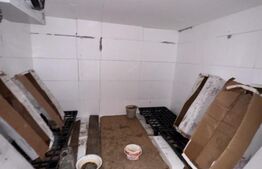 Casa 3 camere + camera frigorifică la subsol, Zona Gara de Nord