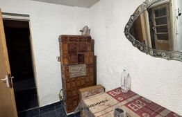 Casa 3 camere + camera frigorifică la subsol, Zona Gara de Nord