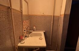 Casa 3 camere + camera frigorifică la subsol, Zona Gara de Nord