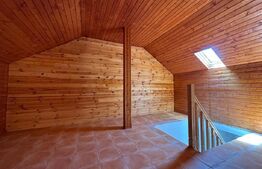 Vilă spațioasă de 213 mp cu curte de 500 mp de închiriat în Otopeni