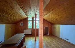 Vilă spațioasă de 213 mp cu curte de 500 mp de închiriat în Otopeni