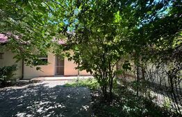 Vilă spațioasă de 213 mp cu curte de 500 mp de închiriat în Otopeni