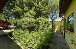 Vilă spațioasă de 213 mp cu curte de 500 mp de închiriat în Otopeni