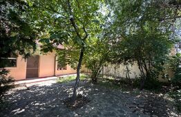 Vilă spațioasă de 213 mp cu curte de 500 mp de închiriat în Otopeni