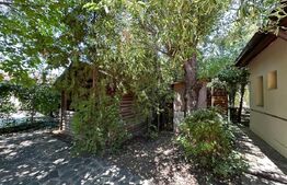 Vilă spațioasă de 213 mp cu curte de 500 mp de închiriat în Otopeni