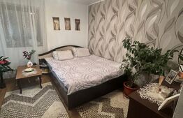 Casa Individuala, 5 camere, 54 mp, cu teren 122 mp, zona Lacul Tei