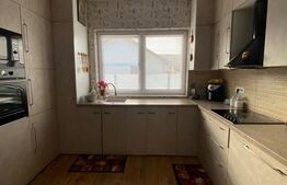 Vilă modernă cu 4 camere și curte de 300 mp în Pantelimon, Ilfov