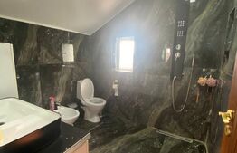 Vilă modernă cu 4 camere și curte de 300 mp în Pantelimon, Ilfov