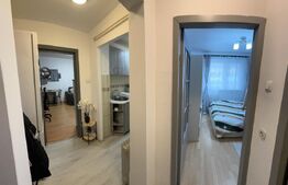 Apartament 2 camere frumos amenajat,  Zona Tei - Parcul Plumbuita