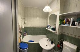 Apartament 2 camere frumos amenajat,  Zona Tei - Parcul Plumbuita