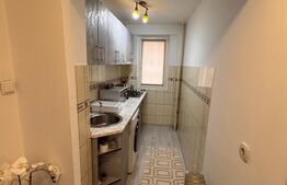 Apartament 2 camere frumos amenajat,  Zona Tei - Parcul Plumbuita