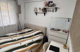 Apartament 2 camere frumos amenajat,  Zona Tei - Parcul Plumbuita