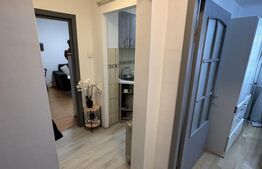Apartament 2 camere frumos amenajat,  Zona Tei - Parcul Plumbuita