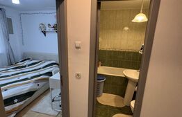 Apartament 2 camere frumos amenajat,  Zona Tei - Parcul Plumbuita