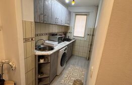 Apartament 2 camere frumos amenajat,  Zona Tei - Parcul Plumbuita