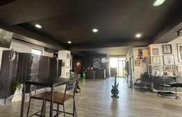 Spatiu Comercial + terasa 275mp- langa metrou Mihai Bravu