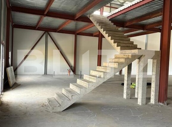 Spațiu industrial de vânzare Cernica - 165725SVI | BLITZ București | Poza5