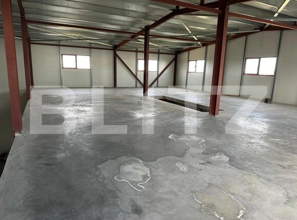 Spațiu industrial de vânzare Cernica - 165725SVI | BLITZ București | Poza6