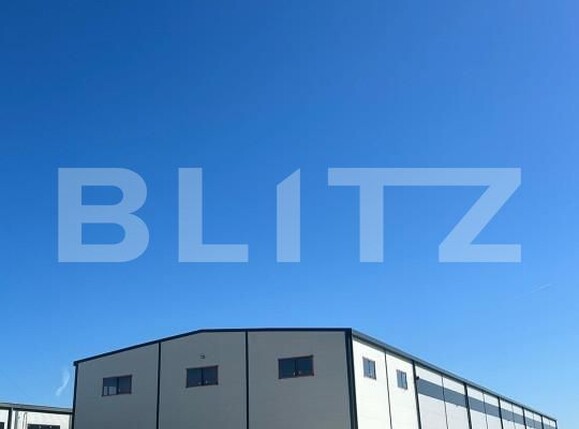 Spațiu industrial de vânzare Cernica - 165725SVI | BLITZ București | Poza2