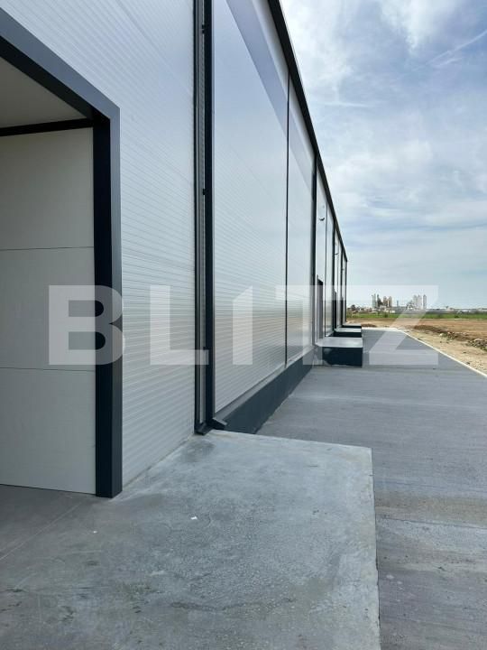 Spațiu industrial de vânzare Cernica - 165725SVI | BLITZ București | Poza7