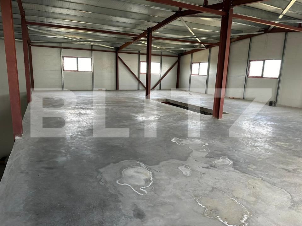 Spațiu industrial de vânzare Cernica - 165725SVI | BLITZ București | Poza6