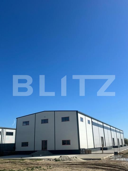 Spațiu industrial de vânzare Cernica - 165725SVI | BLITZ București | Poza2