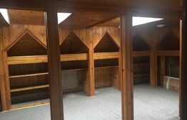 Casa de vanzare, 6 camere, 261 mp, zona Cotroceni