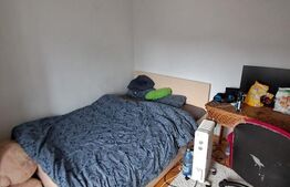 Vanzare vila, curte proprie, 6 camere, 344 mp, zona Brancoveanu 