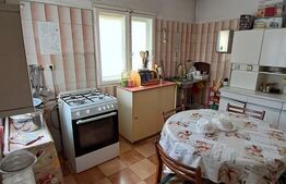 Vanzare vila, curte proprie, 6 camere, 344 mp, zona Brancoveanu 