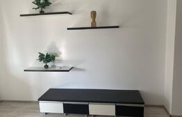 Apartament cu 2 camere, 48 mp, etaj 4/6, zona Sălaj, 74.000 €  