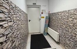 Casa cu 6 camere, 320 mp, Gradinita Rezidentiala, Parcul Carol