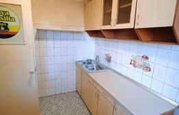 Apartament de vanzare, cu 2 camere, 52 mp, zona Pajura