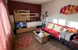 Apartament cu 2 camere, decomandat, confort 1, 55 mp utili, zona Pantelimon