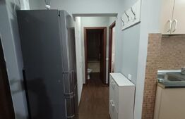 Apartament de vanzare cu 2 camere, 36 mp, zona Drumul Taberei