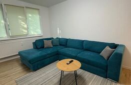 Apartament cu 2 camere lux, 48 mp, etajul 1, zona Margeanului