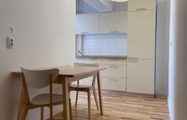 Apartament cu 2 camere, 68 mp, renovat complet, zona Unirii