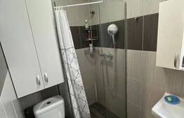 Apartament de vanzare, cu 3 camere, 56 mp, zona Pantelimon, Parcul Florilor