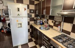 Apartament de vanzare, cu 3 camere, 56 mp, zona Pantelimon, Parcul Florilor