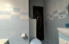 Apartament de vanzare, cu 3 camere, 56 mp, zona Pantelimon, Parcul Florilor