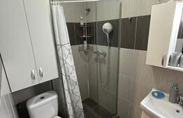 Apartament de vanzare, cu 3 camere, 56 mp, zona Pantelimon, Parcul Florilor