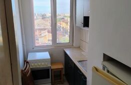 Garsonieră luminoasă de vânzare, 28 mp, etaj 5, zona Lizeanu