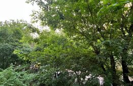 Apartament de vanzare, cu 2 camere, 38 mp, zona Bulevardul Chișinău