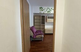 Apartament de vanzare, cu 3 camere, 66 mp, zona Parc Sebastian