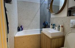 Apartament 3 camere,Victoriei