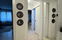 Apartament 3 camere,Victoriei