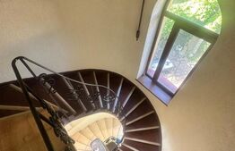 Vila de vanzare, cu 9 camere, 400 mp teren, zona Traian