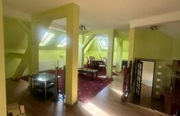 Vila de vanzare, cu 9 camere, 400 mp teren, zona Traian