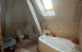 Vila de vanzare, cu 9 camere, 400 mp teren, zona Traian