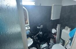 Apartament 3 Camere, Vila Rustică /Investiție Brilliant