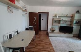 Apartament cu 2 camere, 48 mp, zona Gara de Nord